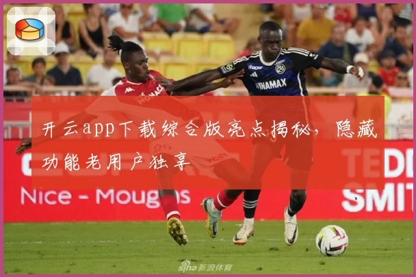 开云app下载综合版亮点揭秘,隐藏功能老用户独享