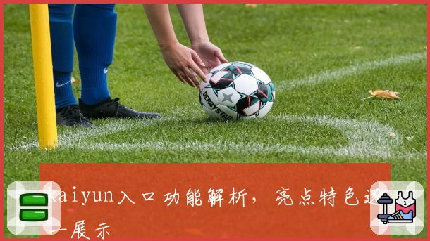 kaiyun入口功能解析，亮点特色逐一展示