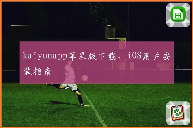 kaiyunapp苹果版下载，iOS用户安装指南