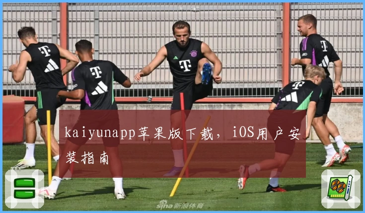 kaiyunapp苹果版下载,iOS用户安装指南
