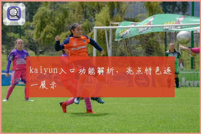 kaiyun入口功能解析，亮点特色逐一展示